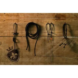 Mystim Elektro sex - Rodeo Robin Slučky na penis
