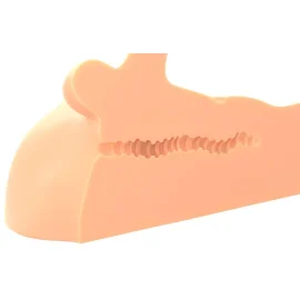 PDX plus Perfect Ride Dildo a masturbátor 2 v 1