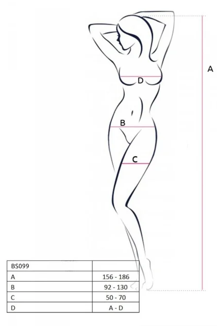 Passion bodystocking BS099 čierny