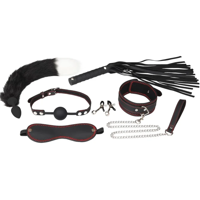 Erospace BDSM set Wild Play C8